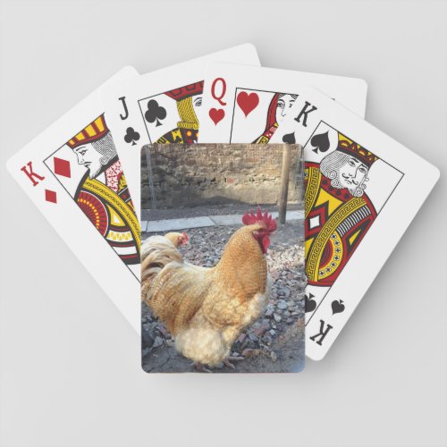 Rooster Playing Cards
