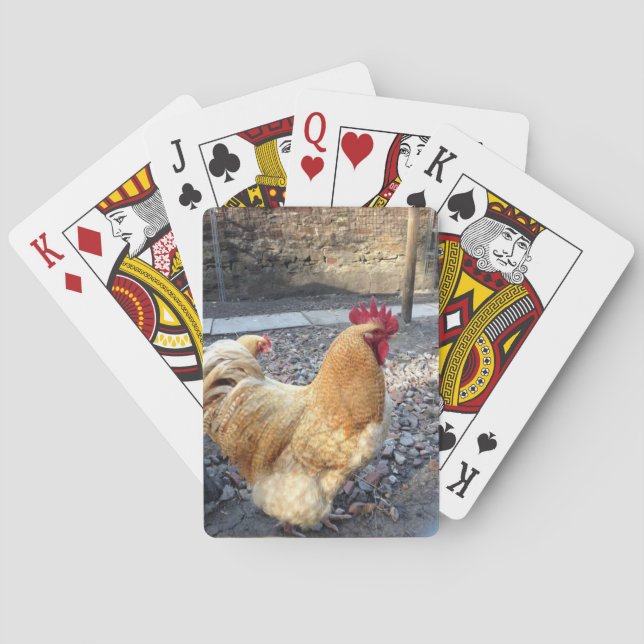 Rooster Poker Cards (Back)