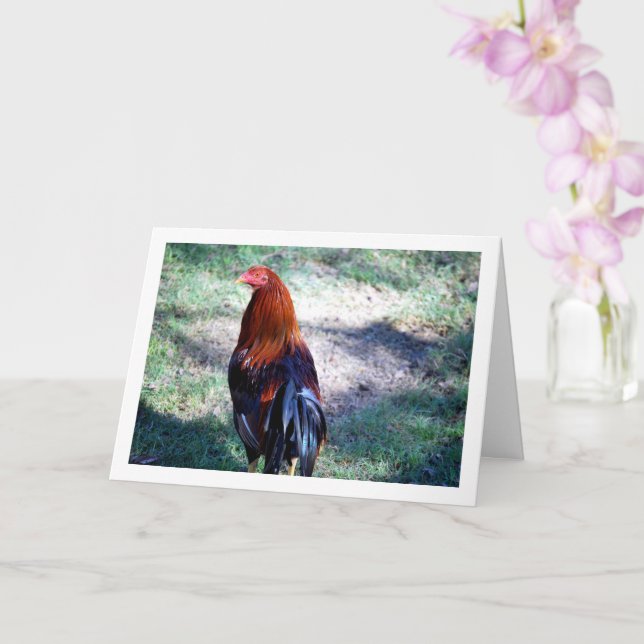 Rooster Portrait Card (Orchid)