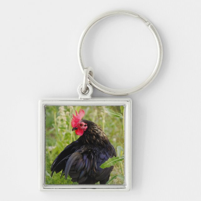 Rooster Portrait Keychain (Front)