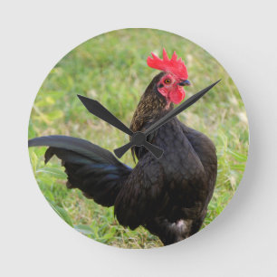 Rooster Portrait Round Clock