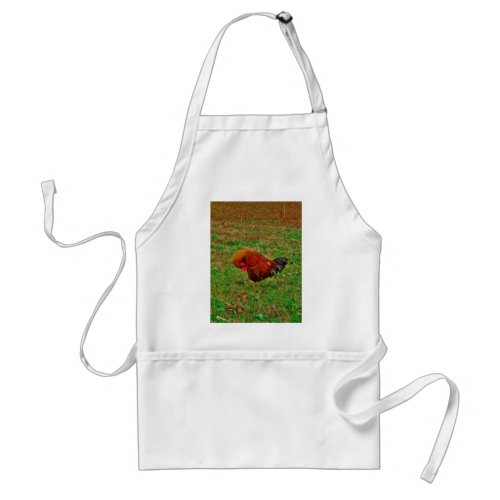 Rooster Preening Adult Apron