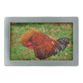 Rooster Preening Belt Buckle
