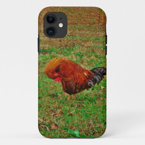 Rooster Preening iPhone 11 Case