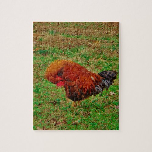 Rooster Preening Jigsaw Puzzle