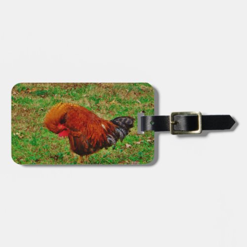 Rooster Preening Luggage Tag