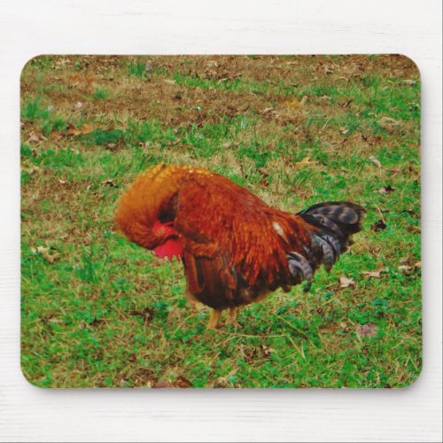 Rooster Preening Mouse Pad