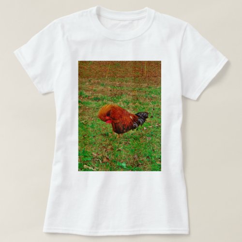 Rooster Preening T_Shirt