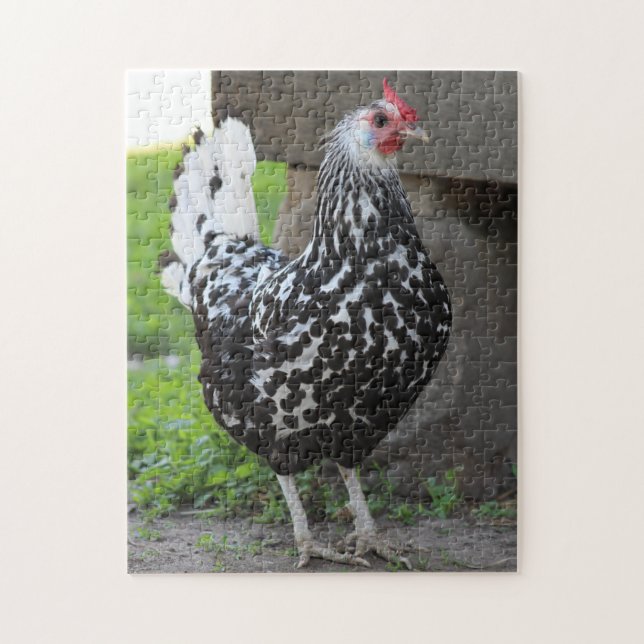 Rooster puzzle (Vertical)