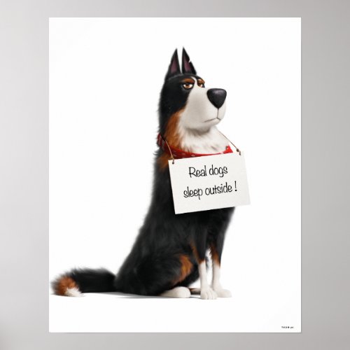 Rooster _ Real Dogs Sleep Outside Poster