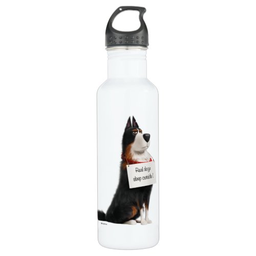 Rooster _ Real Dogs Sleep Outside Stainless Steel Water Bottle