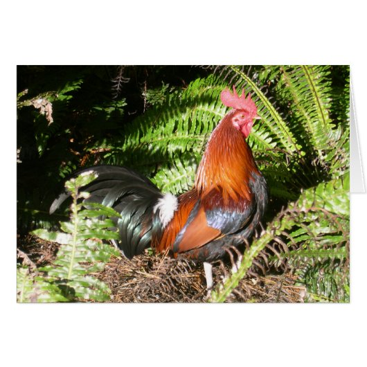 Rooster - Red Jungle Fowl Cards (Front Horizontal)