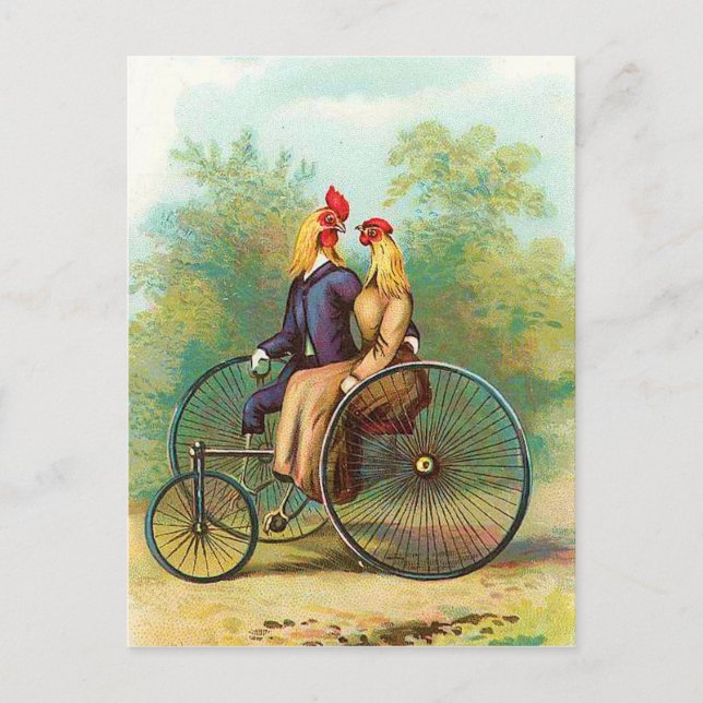 Rooster Romantic Bike Date Postcard (Front)
