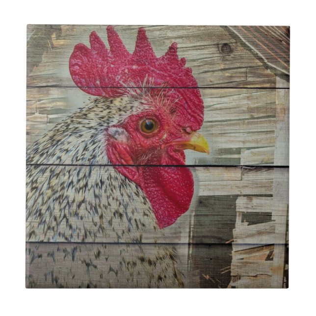 Rooster Rustic Chicken Coop Barn Board Ceramic Tile (Front)