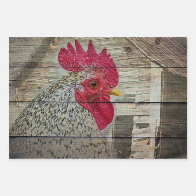 Rooster Rustic Chicken Coop Barn Board Wrapping Paper Sheets (Front)