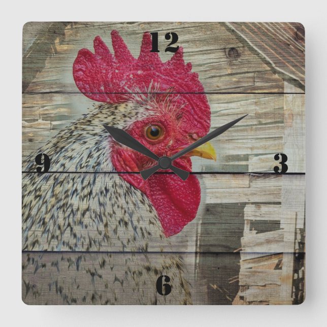 Rooster Rustic Chicken Coop Square Wall Clock (Front)