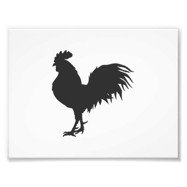 Rooster  silhouette  - Choose background color Photo Print (Front)