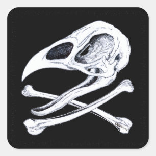 Rooster Skull and Crossbones Square Sticker