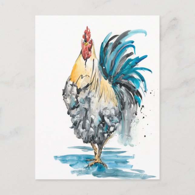 Rooster Splash - Watercolor Portrait Postcard (Front)