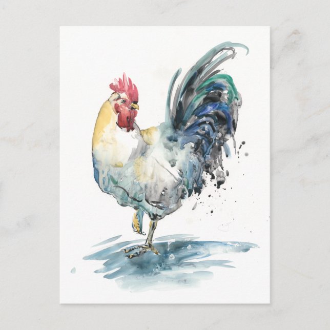 Rooster Splash - Watercolor Postcard (Front)