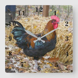 Rooster Square Wall Clock
