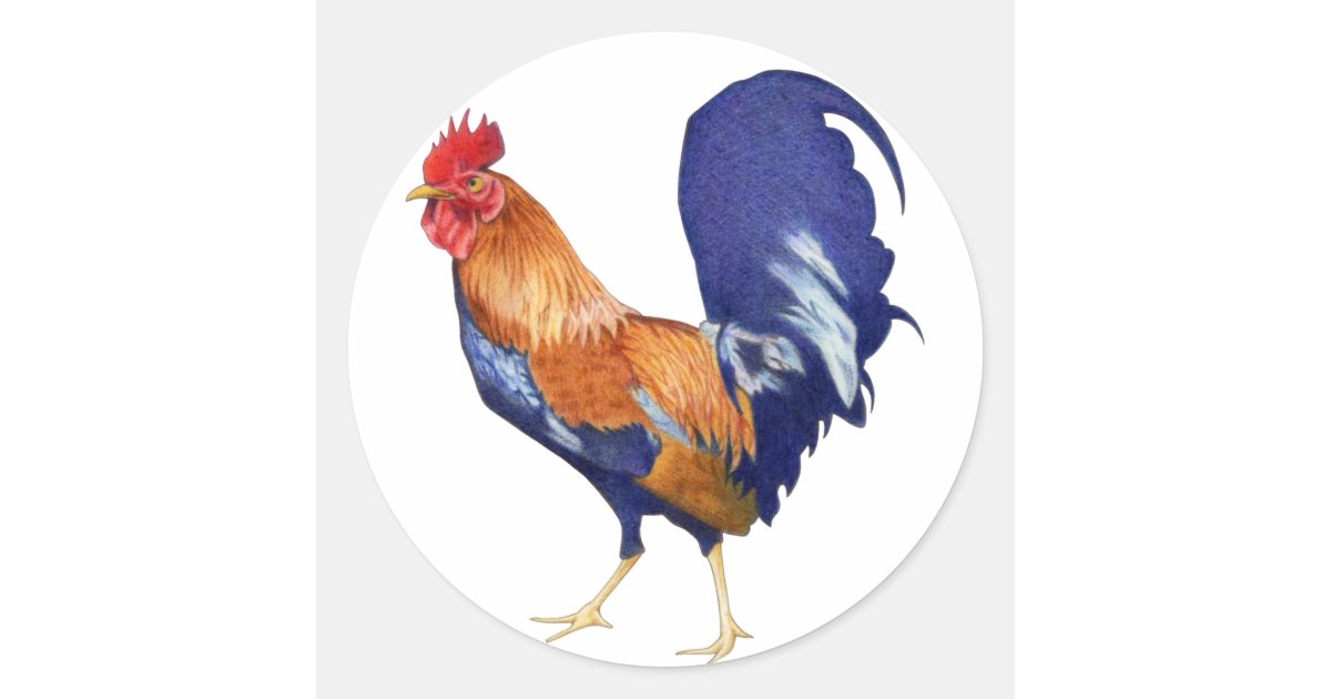 Rooster Sticker Zazzle