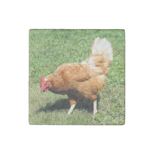 Rooster Stone Magnet