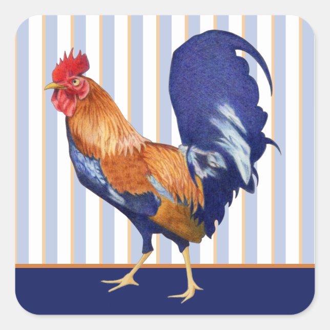 Rooster stripes Square Sticker (Front)
