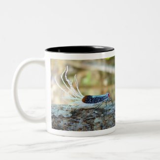 Rooster-tail Cicada (fulgorid planthopper) Two-Tone Coffee Mug