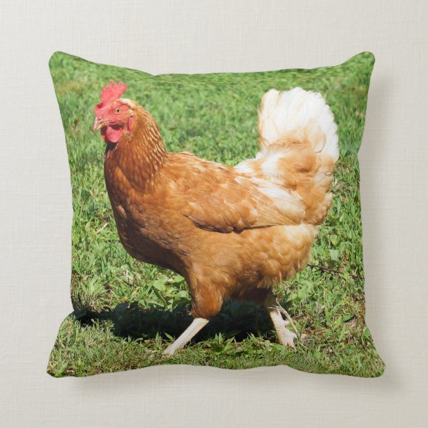 chicken pillow pet