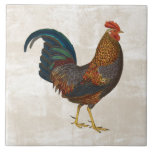 Rooster Tile<br><div class="desc">rooster farm animal tile</div>