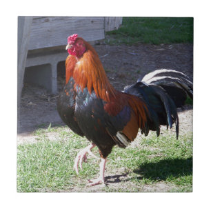 Rooster Tile