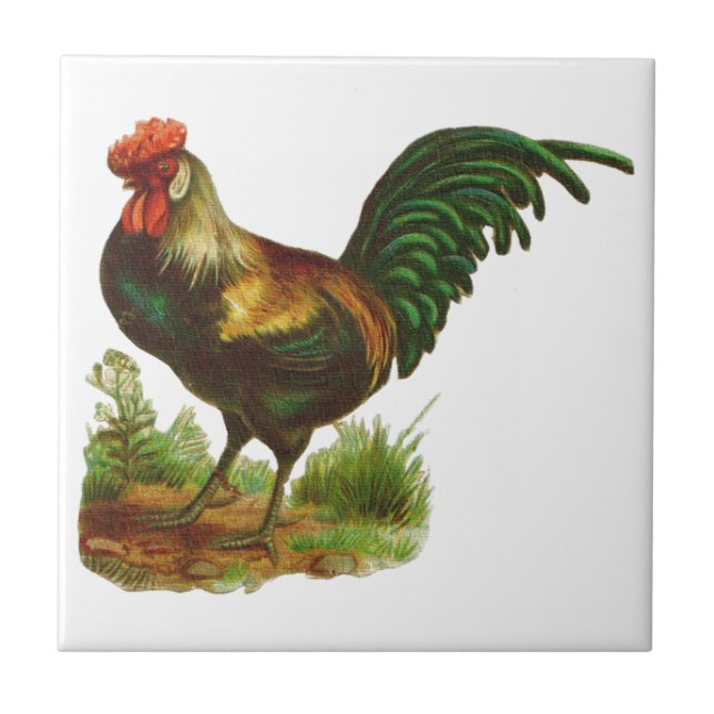 Rooster Tile (Front)