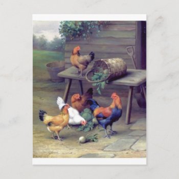 Rooster Turnip Basket Hens Postcard by EDDESIGNS at Zazzle
