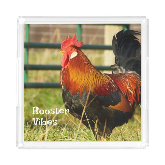 Rooster Vibes Farm Life Acrylic Tray (Front)
