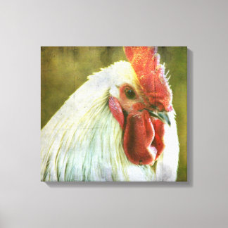 Rooster Vintage Grunge Canvas Print