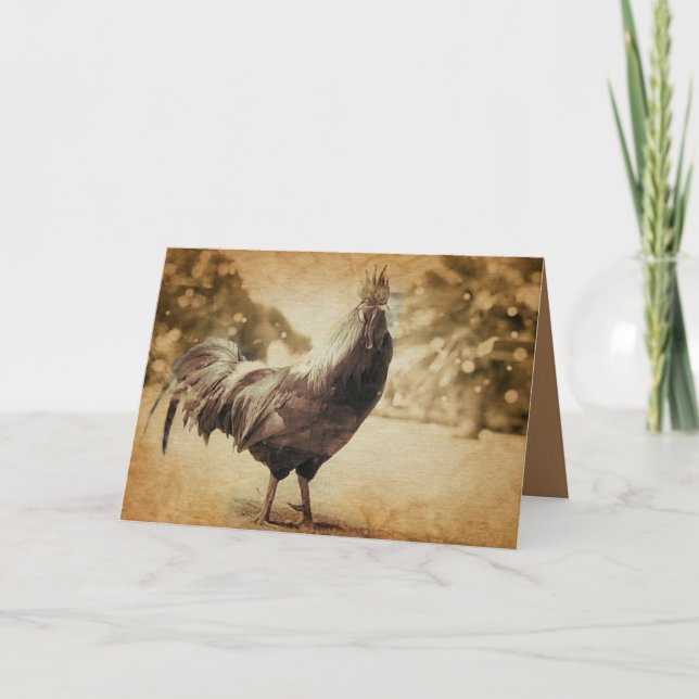 Rooster Vintage Photo Card (Front)
