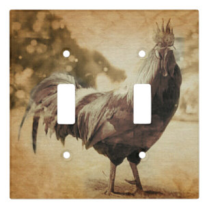 Rooster Vintage Photo Light Switch Cover