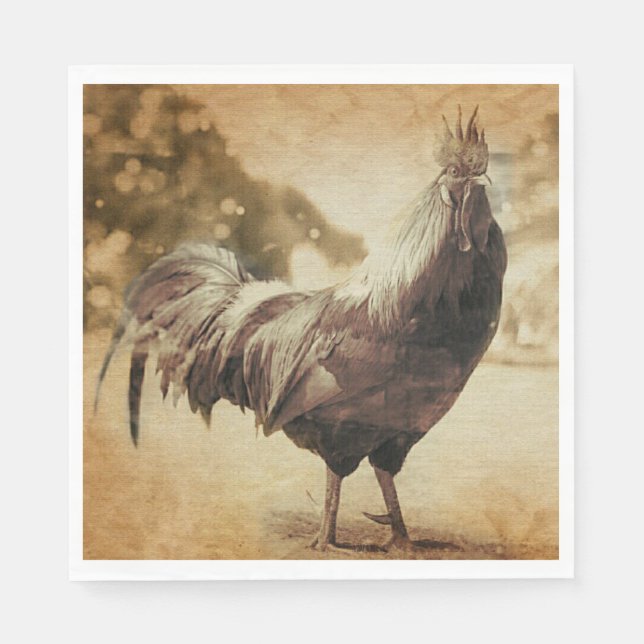 Rooster Vintage Photo Napkins (Front)