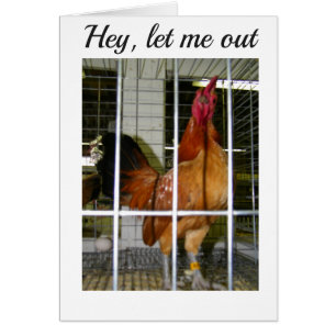 ROOSTER WANT TO SAY HIS BIRTHDAY WISHES TO YOU! CARDS