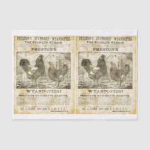 Rooster Wanted (double images) Tissue Paper