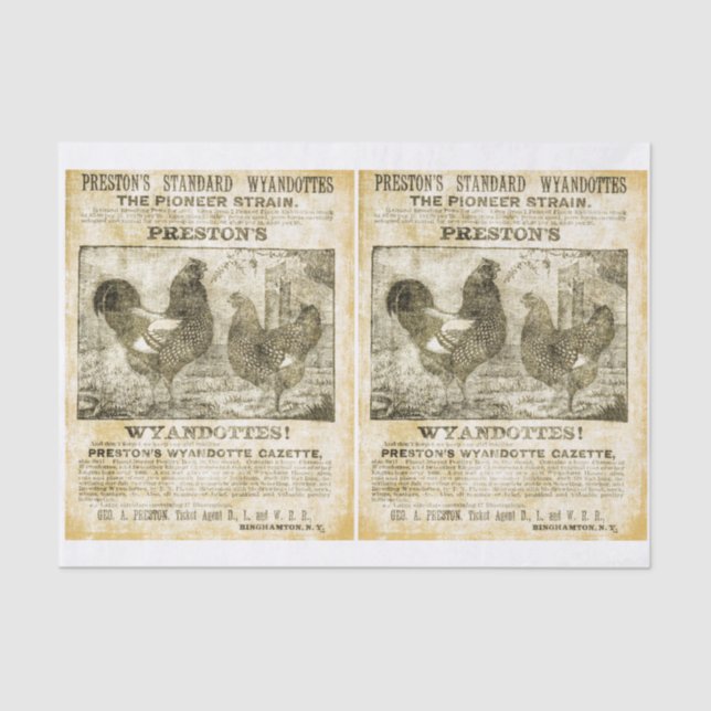 Rooster Wanted (double images) Tissue Paper (Front)