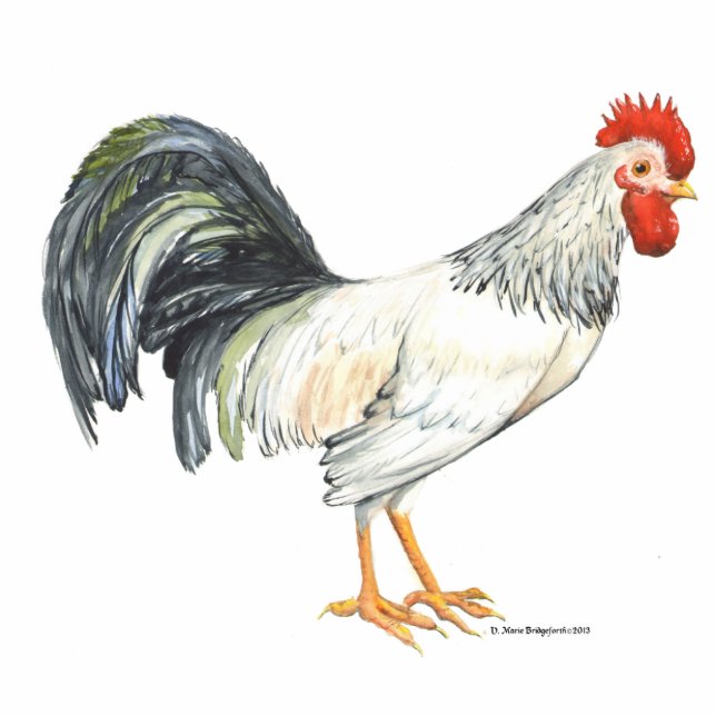 Rooster white with black tailfeathers handpainted statuette (Front)