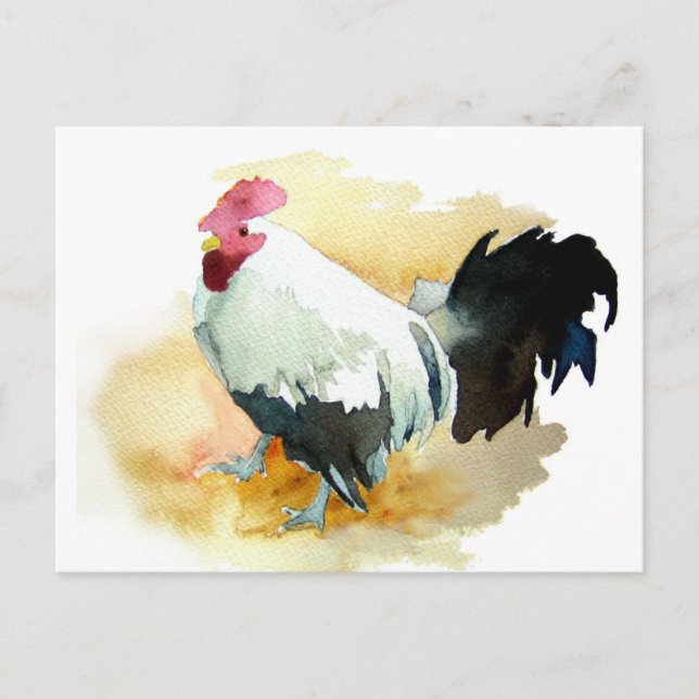 Rooster with an Attitude Postcard (Front)