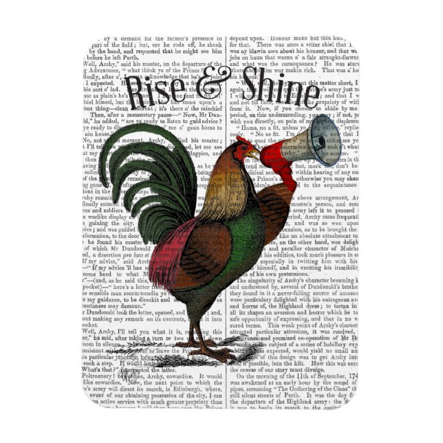 Rooster With Loudhailer 2 Magnet (Vertical)