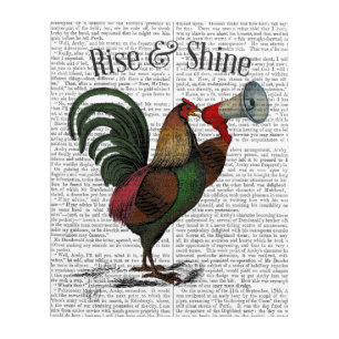 Rooster With Loudhailer Acrylic Print