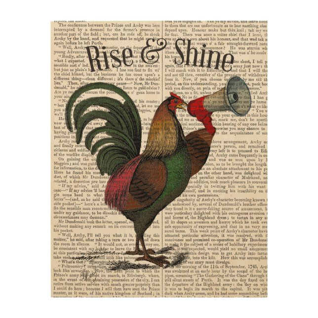 Rooster With Loudhailer Wood Wall Decor (Front)