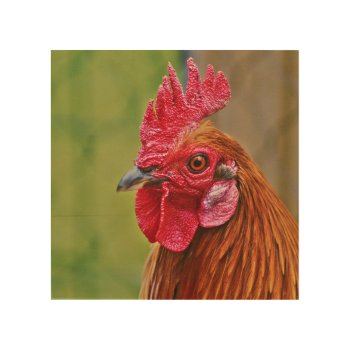 Rooster Wood Wall Art by CustomizeYourWorld at Zazzle