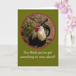 ROOSTER/YOU THINK YOU'VE GOT SOMETHING TO CROW ABO