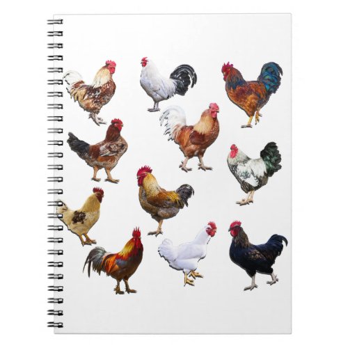 Roosters collage color chicken notebook